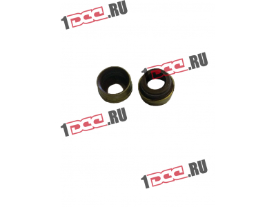 Колпачок маслосъемный WP12 SHAANXI / Shacman (ШАНКСИ / Шакман) 61800050151 фото 1 Ханты-Мансийск