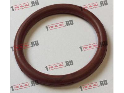 Кольцо уплотнительное штуцера форсунки резиновое F FAW (ФАВ)  для самосвала фото 1 Ханты-Мансийск