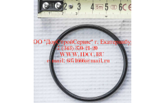 Кольцо уплотнительное ø346х3.5 гидромуфты ГТР CDM 855, 843 фото Ханты-Мансийск