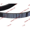 Ремень 8PK1160 SH (612600061295) SHAANXI / Shacman (ШАНКСИ / Шакман) 612600061752 фото 2 Ханты-Мансийск