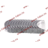 Вкладыши коренные стандарт +0.00 (14шт) LONGGONG CDM833 Lonking CDM (СДМ) 13034908/13034916 фото 2 Ханты-Мансийск