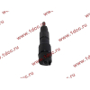 Форсунка в сборе F2 FAW (ФАВ) 1112010-36D для самосвала фото 3 Ханты-Мансийск