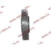 Шестерня привода распредвала промежуточная WD615/WP10 HOWO (ХОВО) VG1560050053/61560050053 фото 3 Ханты-Мансийск