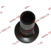 Стакан штанги-толкателя двигатель TD226B6G LONGGONG Lonking CDM (СДМ) 12273399 фото 4 Ханты-Мансийск